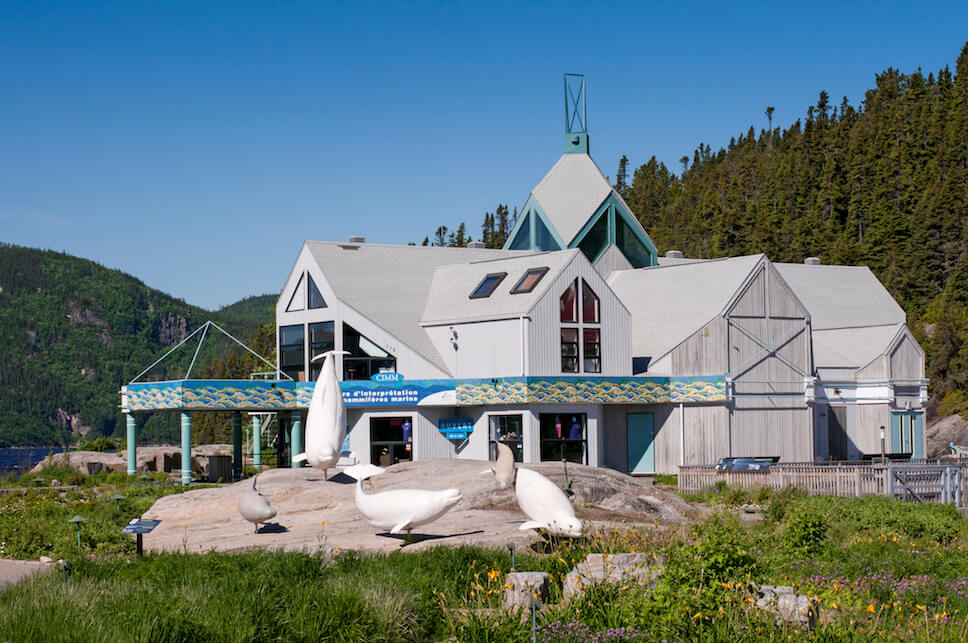 Le Centre d'interprétation des mammifères marins et les sculptures de bélugas grandeurs natures dans le Jardin de la Grève