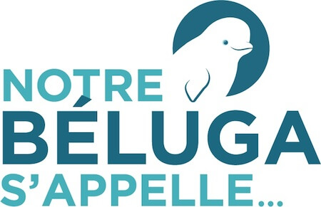 notre béluga s'appelle
